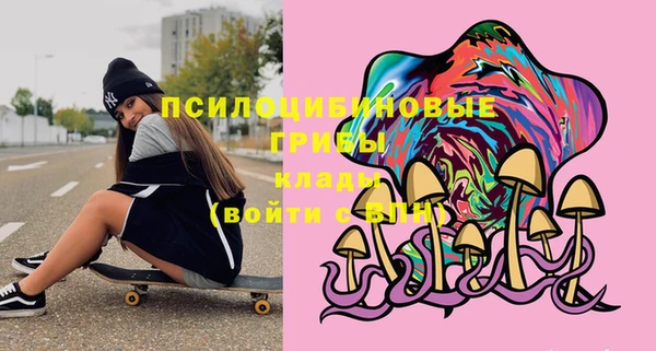 твердый Алексеевка