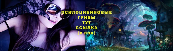2c-b Алзамай