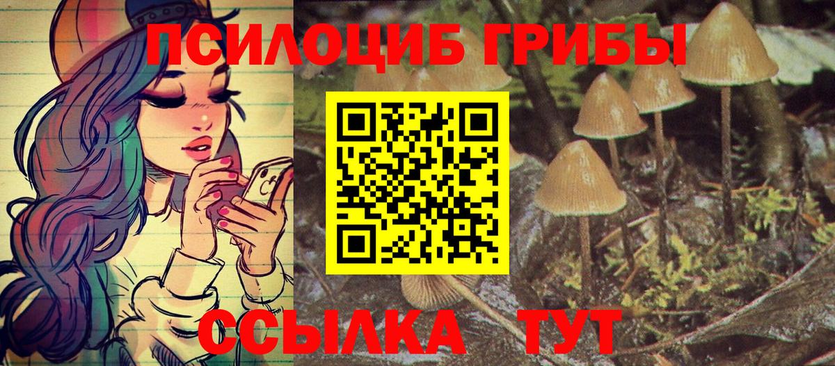 Псилоцибиновые грибы Psilocybine cubensis  Галлюциногенные грибы MAGIC MUSHROOMS  Вход с VPN  Аша 
